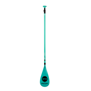 Recreational Carbon - 2 piece paddle